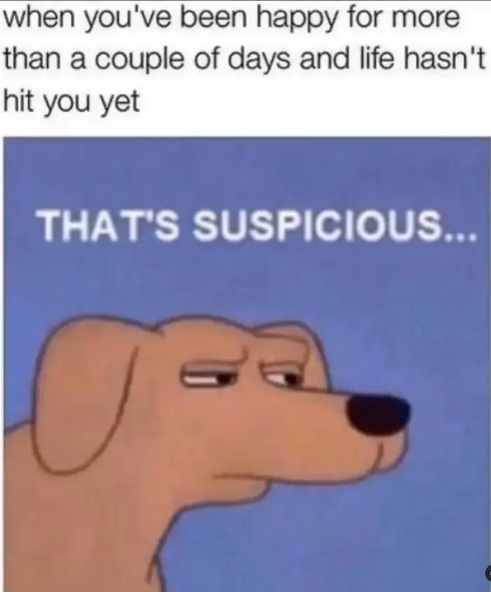 Suspicious dog meme doubting long unbroken happy days