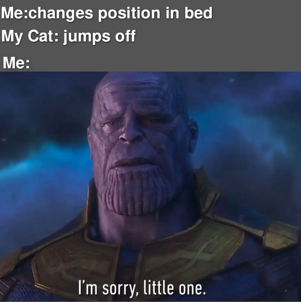 Thanos meme saying sorry after cat leaves bed