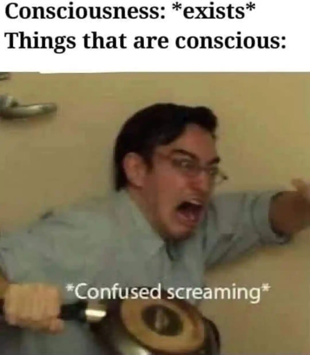 Confused screaming meme pan lost at existence
