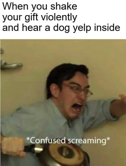 Confused screaming meme shake gift hear dog yelp