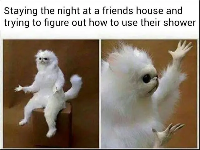 White monkey meme confused friends shower