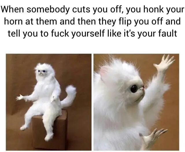 White monkey meme confused at road blame
