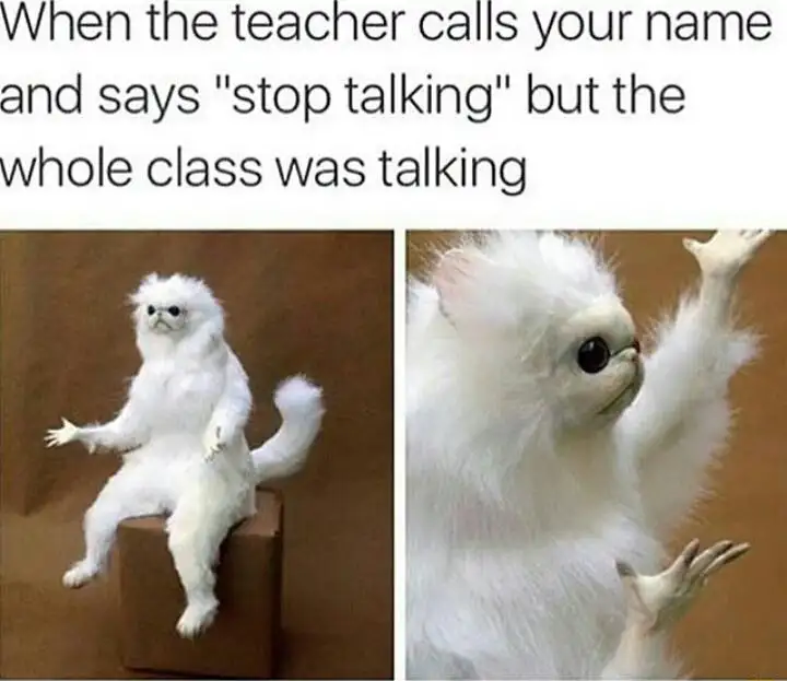 White monkey meme mad at unfair callout
