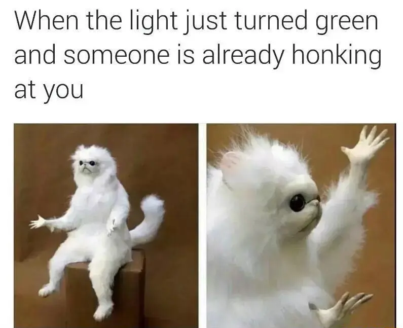 White monkey meme shrugs at honking
