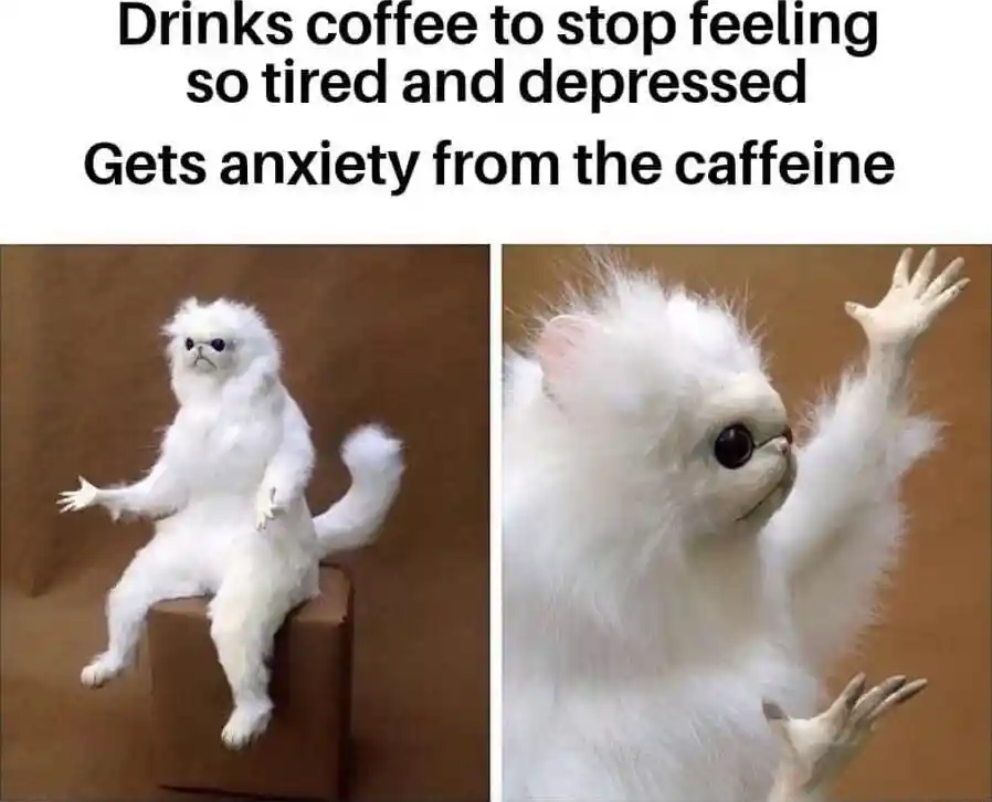 White monkey meme coffee causes anxiety