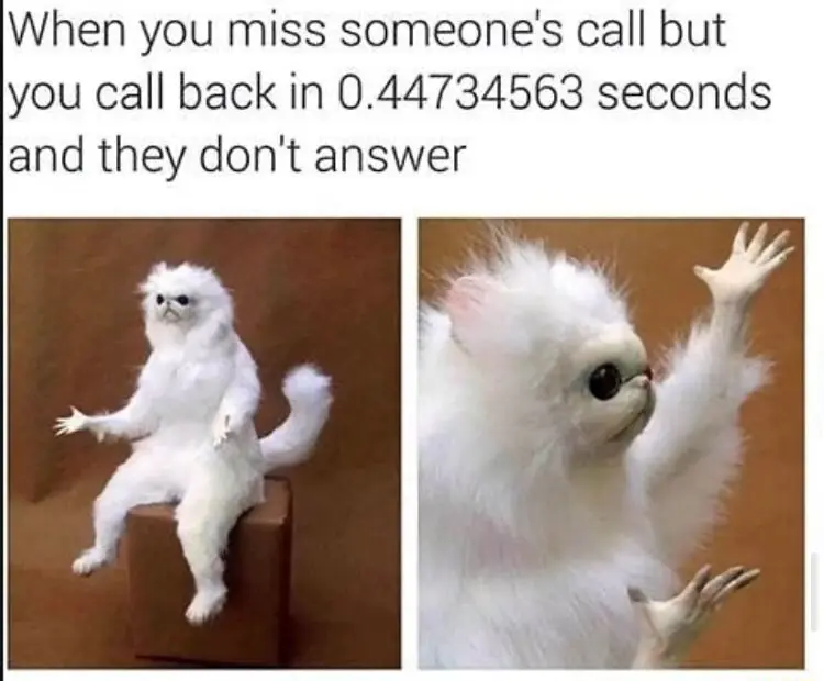 White monkey meme shrugs after no callback reply