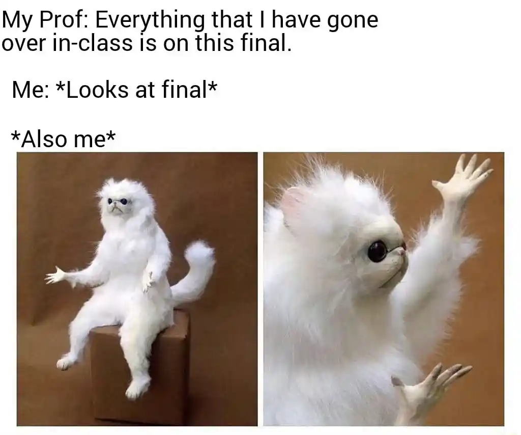 White monkey meme shrugs at final exam