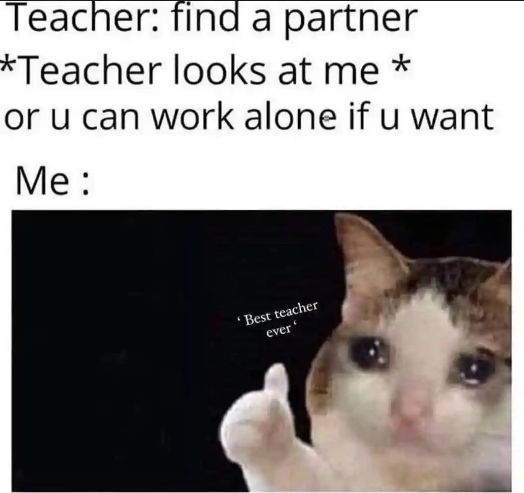 Crying cat thumbs up meme praise teacher for solo work