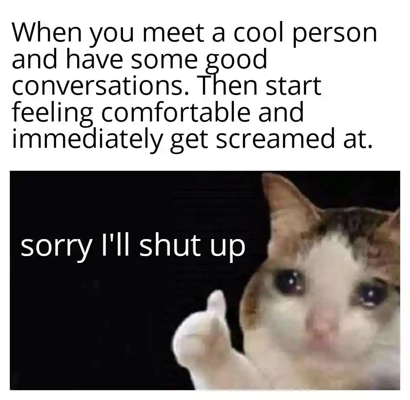 Crying cat thumbs up meme get yelled at