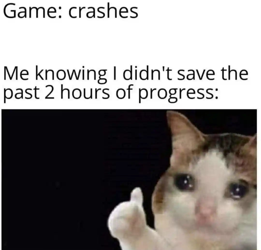 Crying cat thumbs up meme game crashes