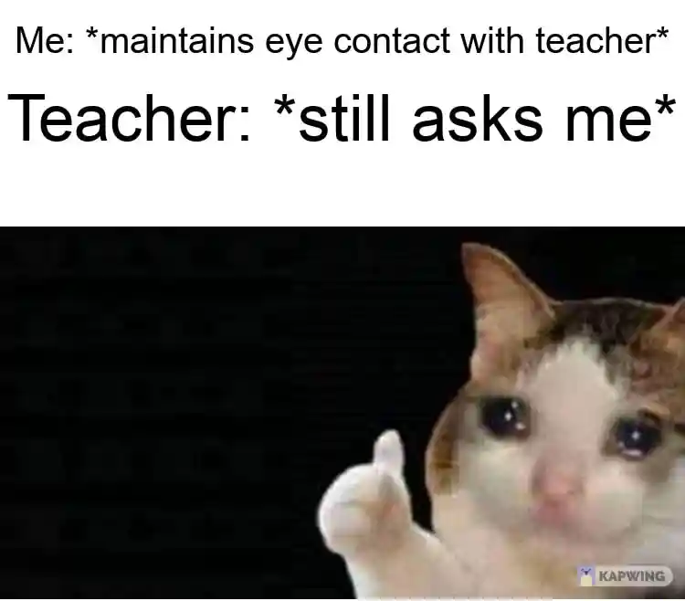 Crying cat thumbs up meme gets asked by teacher