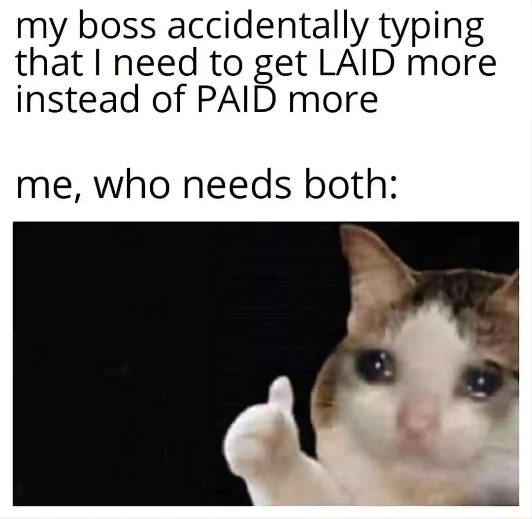 Crying cat thumbs up meme approving boss typo