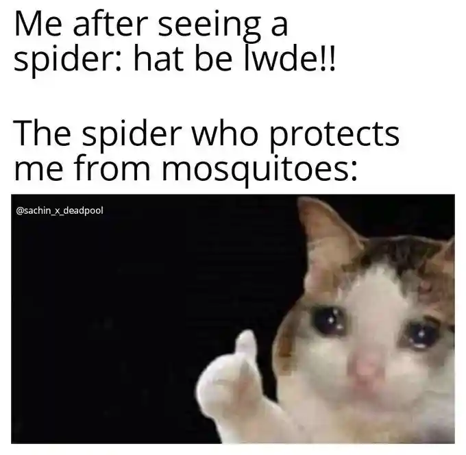 Crying cat thumbs up meme accepts being feared for catching mosquitoes