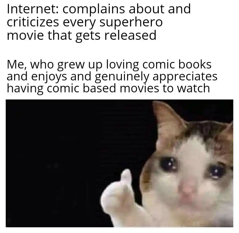 Crying cat thumbs up meme loves comic superhero movies