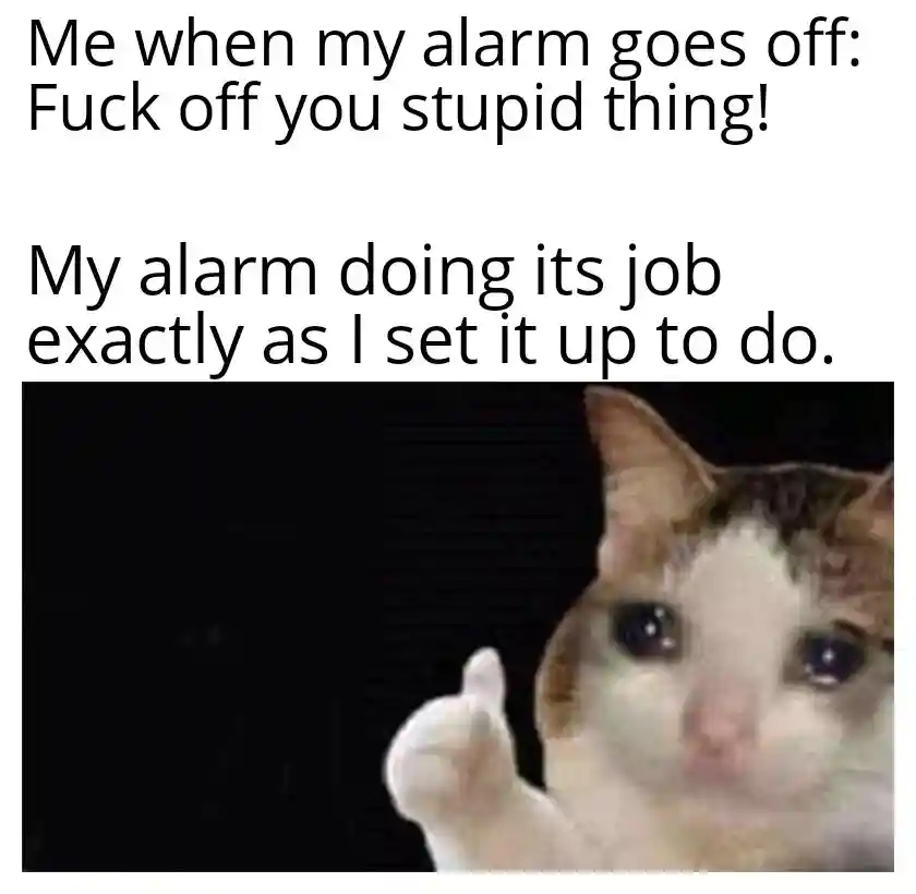 Crying cat thumbs up meme mad at alarm