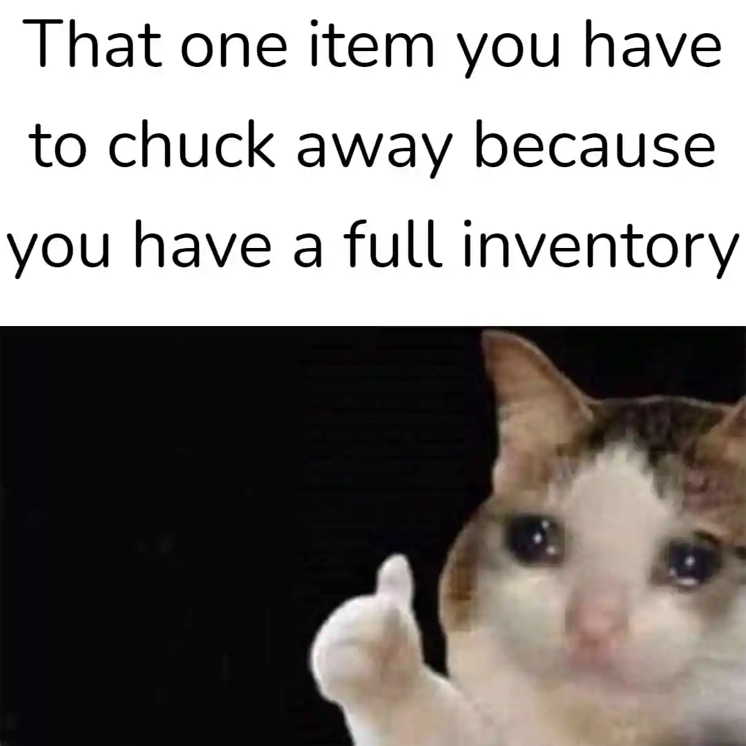 Crying cat thumbs up meme sad discard game item