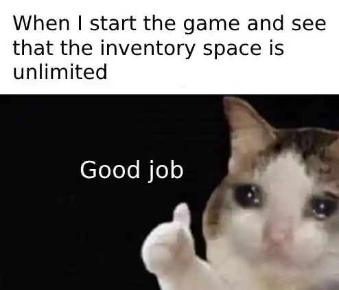 Crying cat thumbs up meme praise unlimited game space