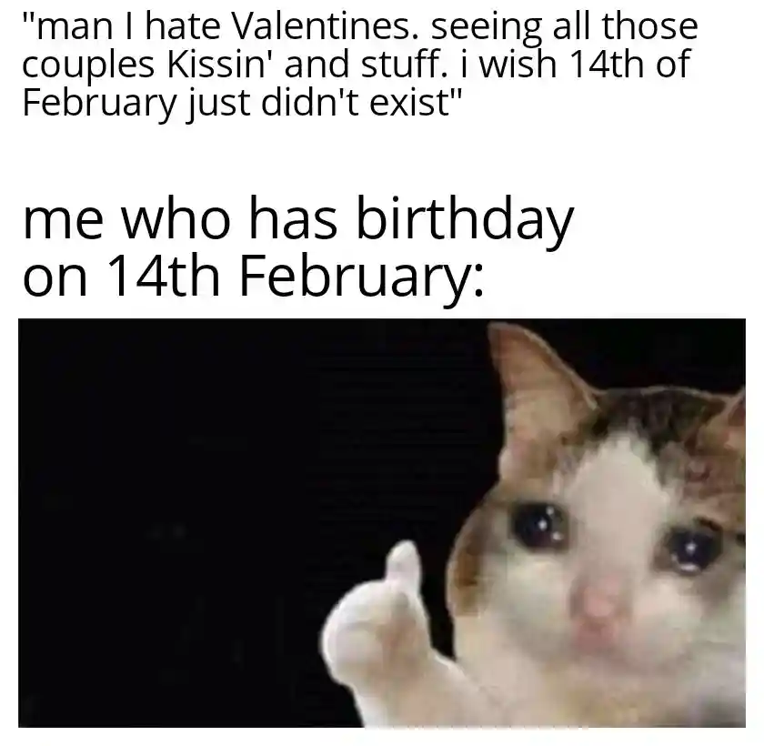 Crying cat thumbs up meme sad on valentine bday