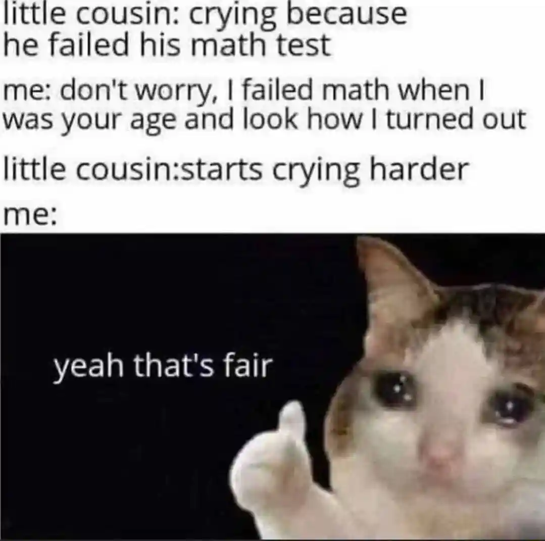 Crying cat thumbs up meme makes cousin cry harder