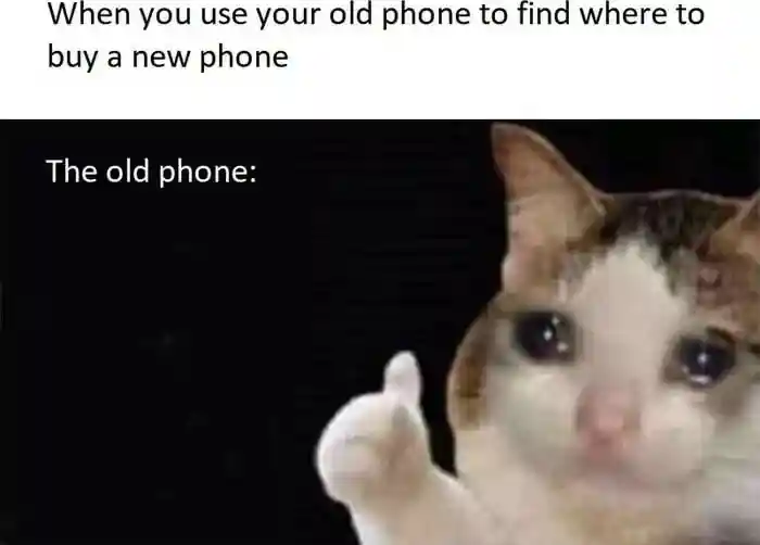 Crying cat thumbs up meme giving thumbs up as old phone helps buy new phone