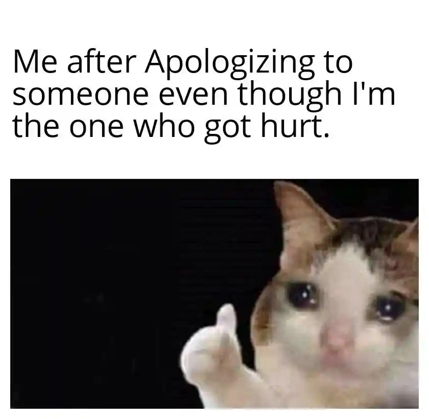 Crying cat thumbs up meme say sorry even when hurt