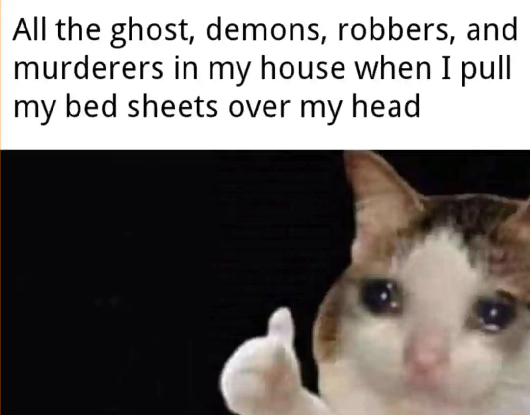 Crying cat thumbs up meme hiding from ghosts