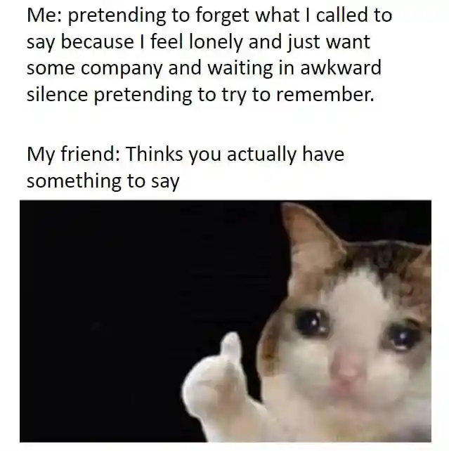 Crying cat thumbs up meme faking forgotten call to get friend company