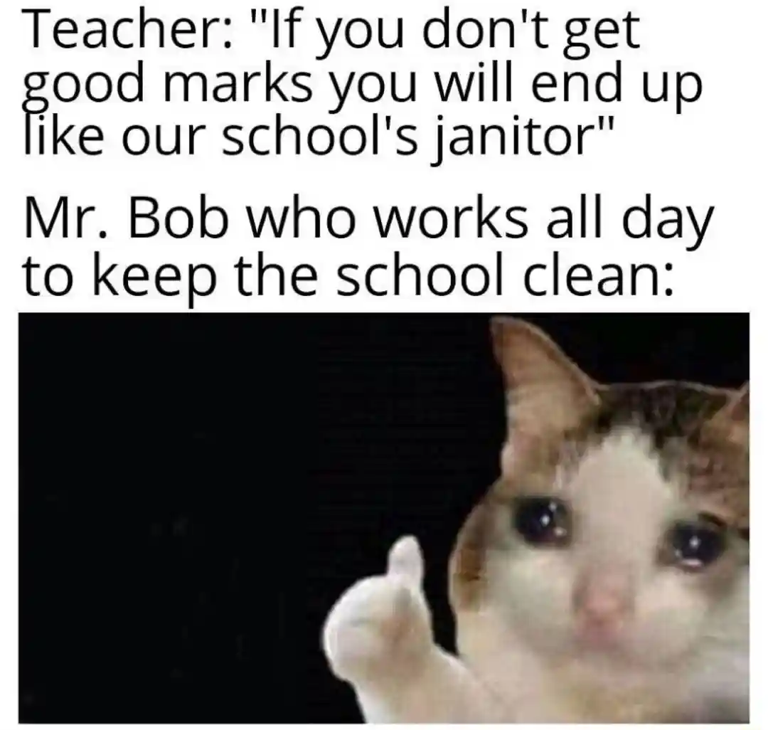 Crying cat thumbs up meme likes janitor