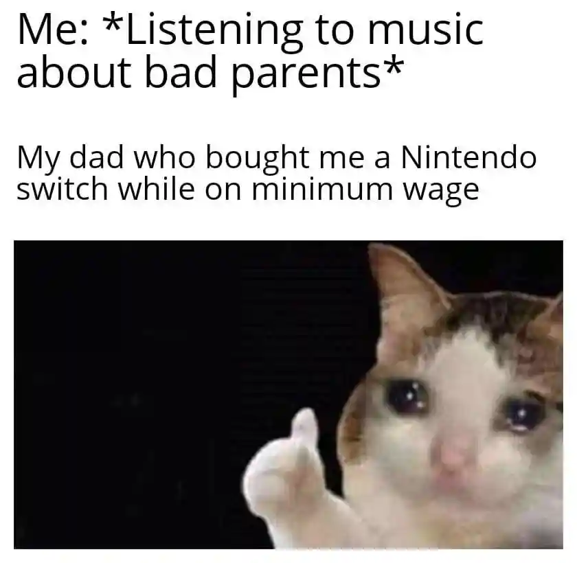 Crying cat thumbs up meme thank good dad