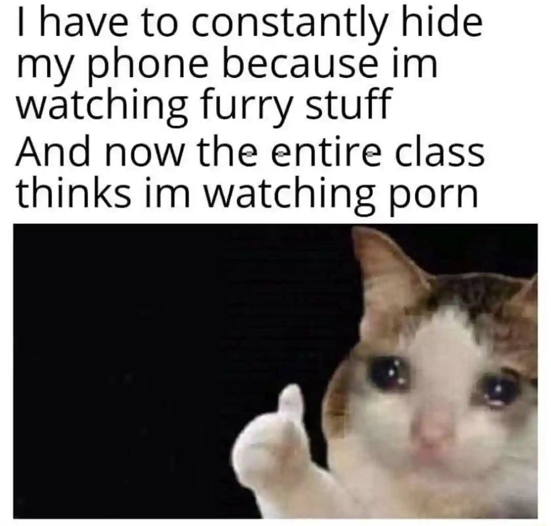 Crying cat thumbs up meme hide phone in class