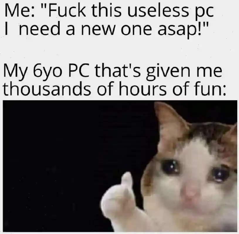 Crying cat thumbs up meme loving old pc