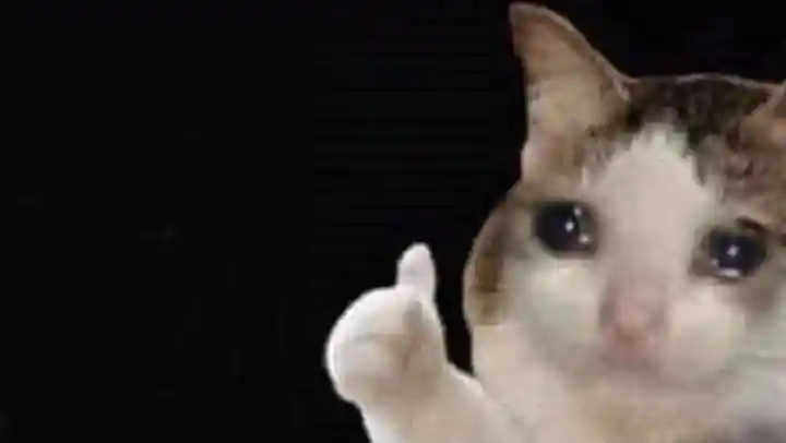 crying cat thumbs up meme template
