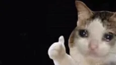 Crying cat thumbs up meme