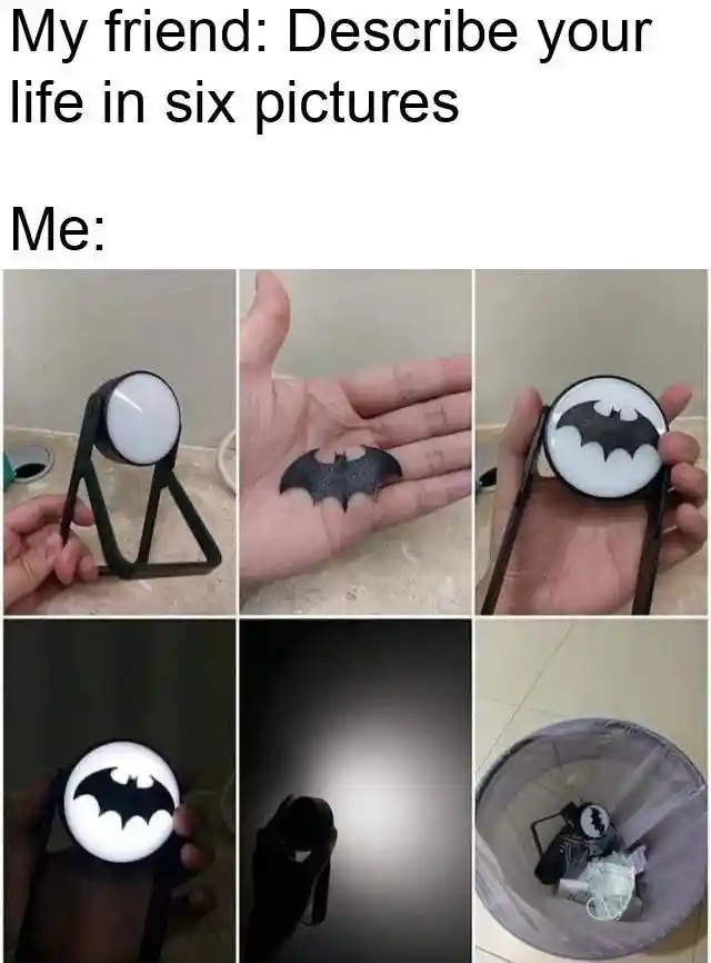 Describe life in six pictures batman meme showing funny life