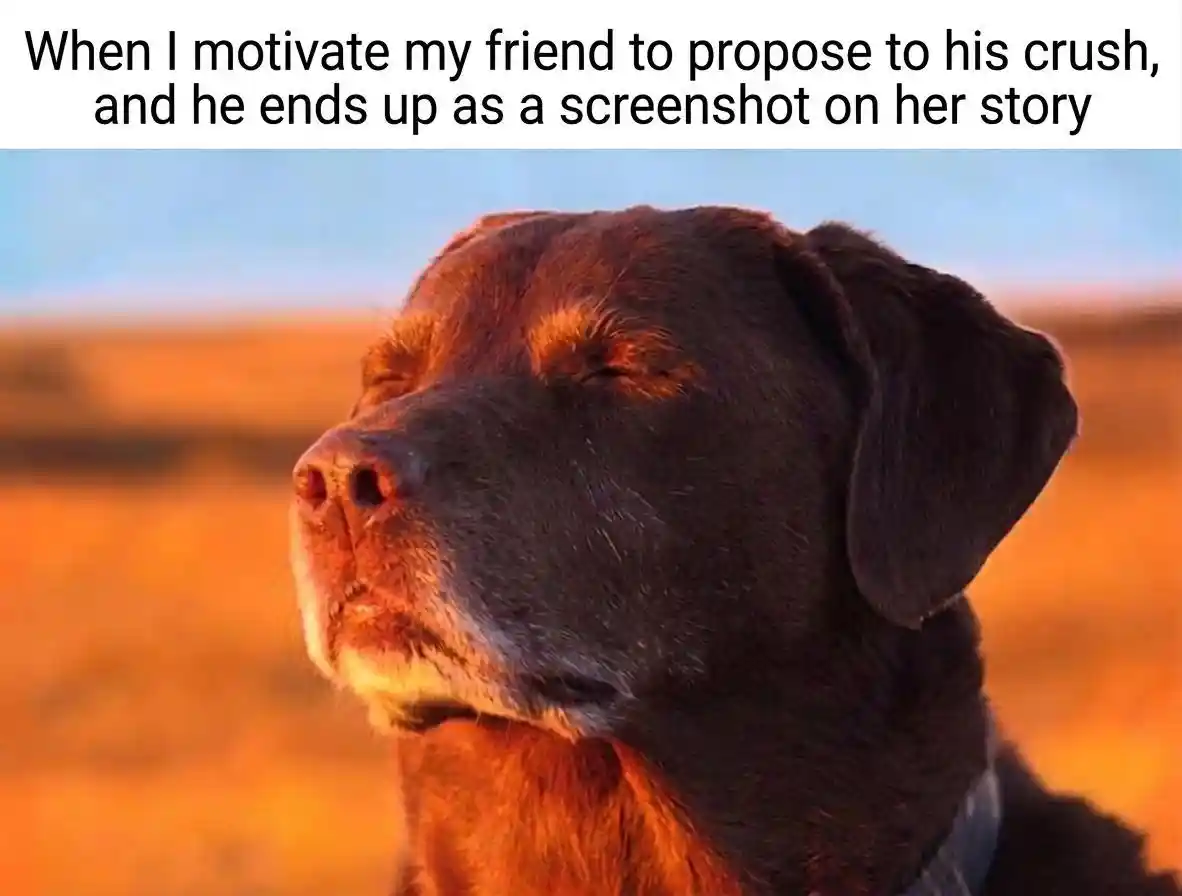 Dog closing eyes meme push friend propose sadly