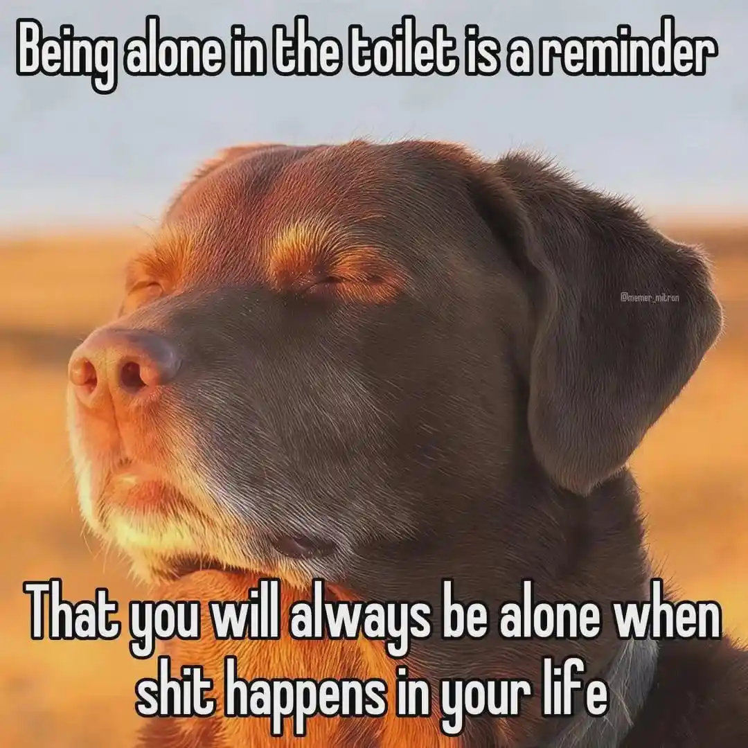 Dog closing eyes meme feeling all alone