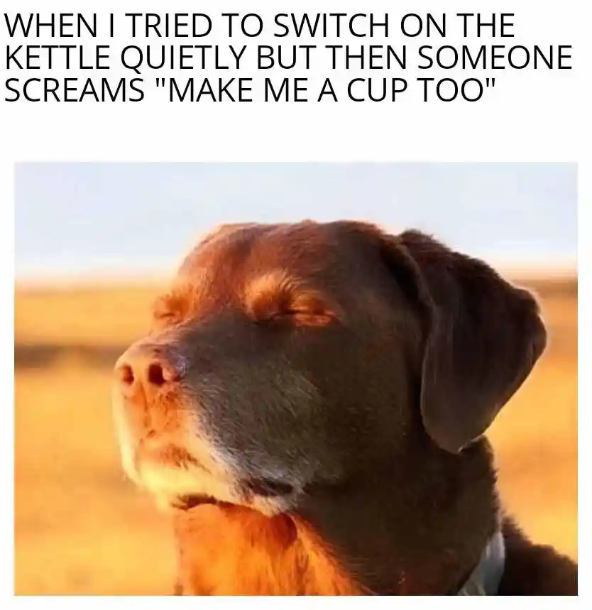 Dog closing eyes meme upset at extra cup