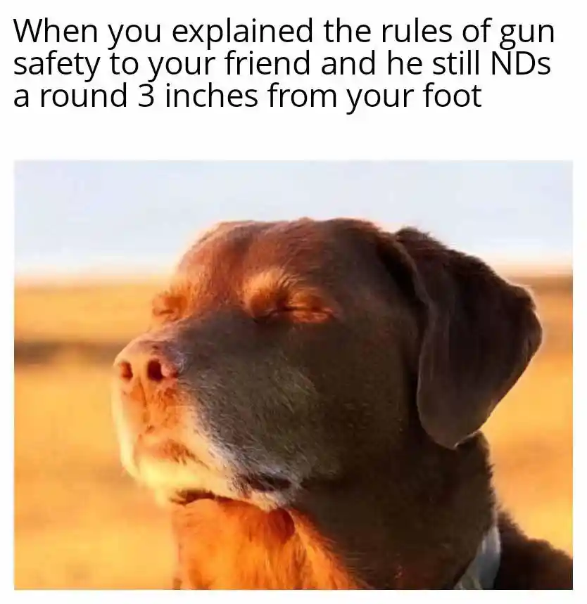 Dog closing eyes meme annoyed at misfire