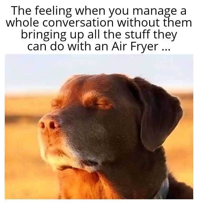 Dog closing eyes meme no air fryer rants