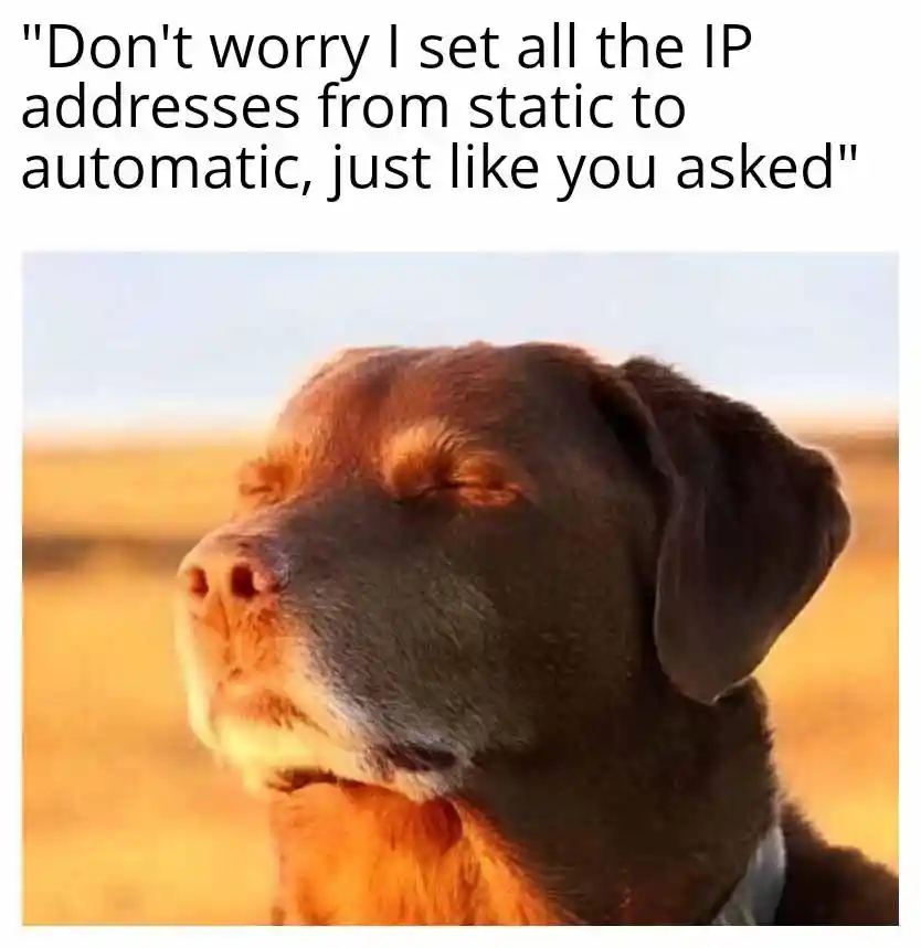 Dog closing eyes meme proud of ip setup