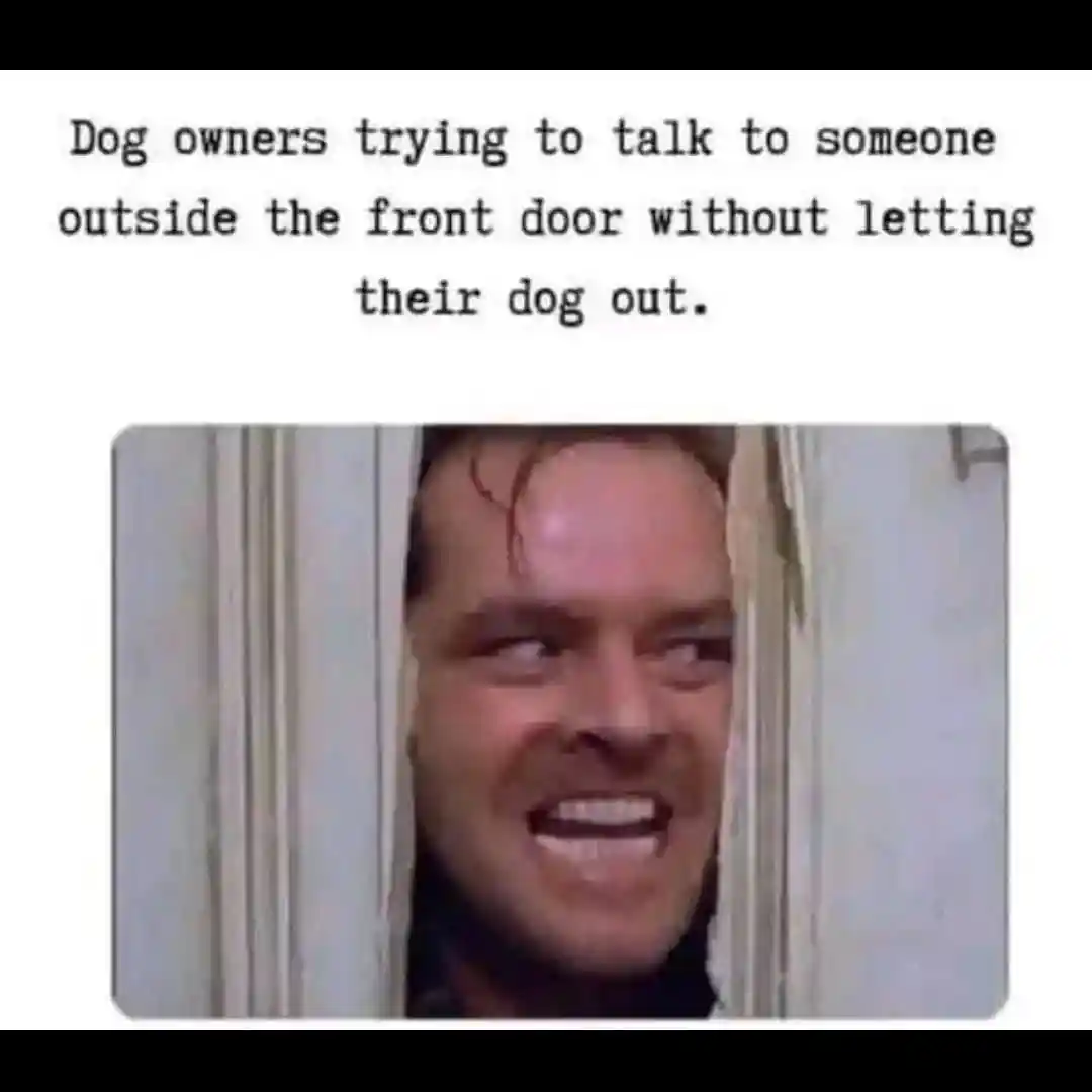 Dog owners meme talk outside no dog out