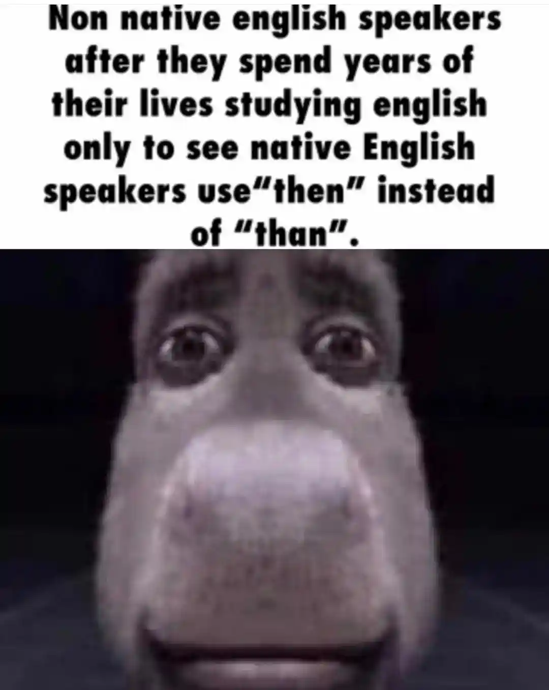Donkey staring meme non native speakers shocked at then than mixup