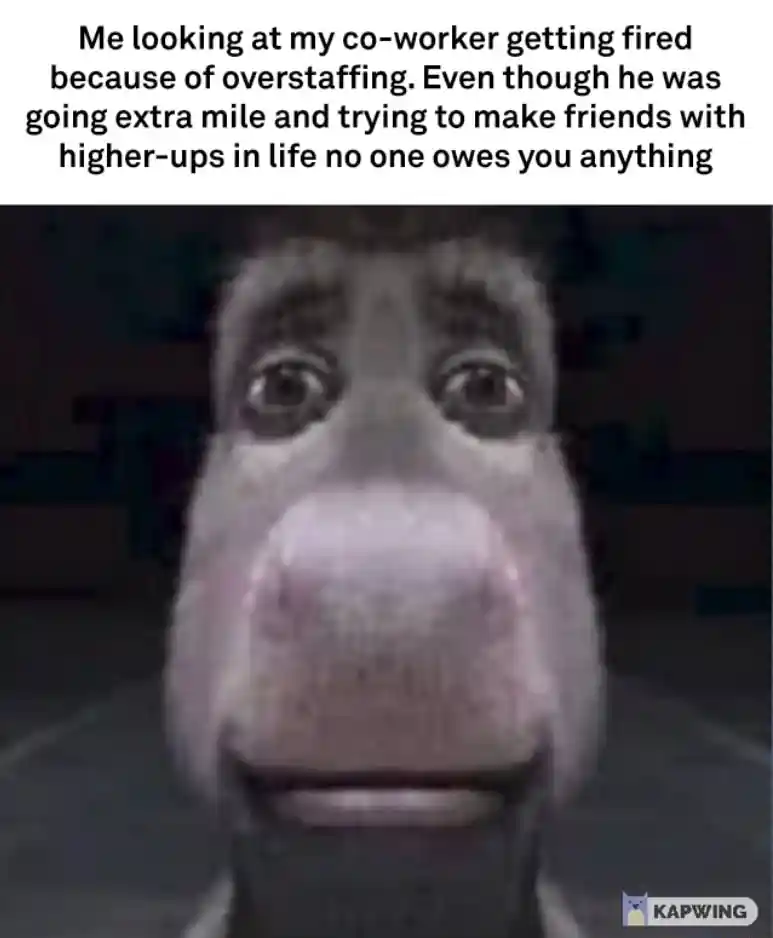 Donkey staring meme seeing coworker fired awkward