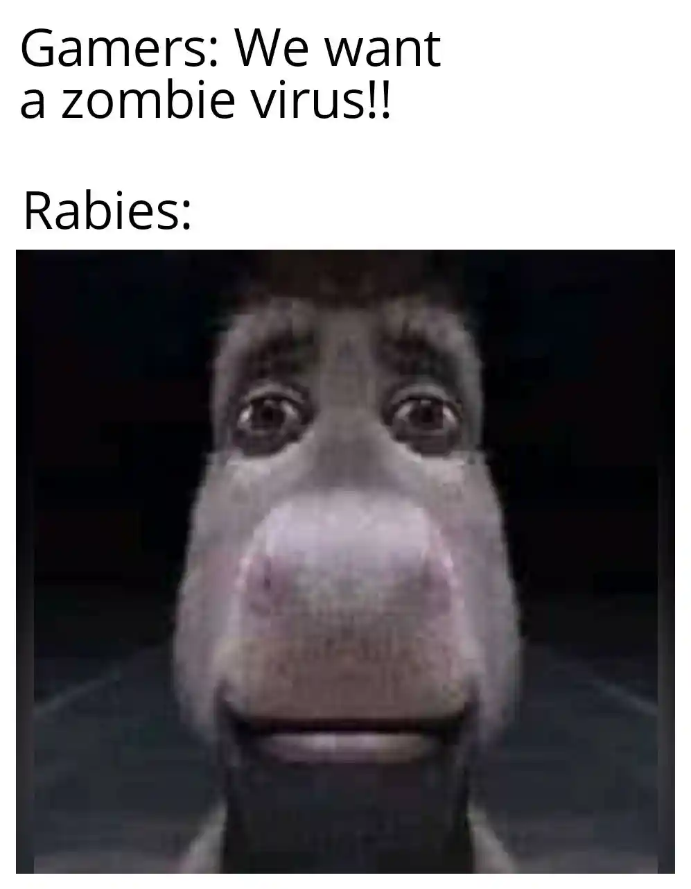 Donkey staring meme gamers want zombie virus rabies appears