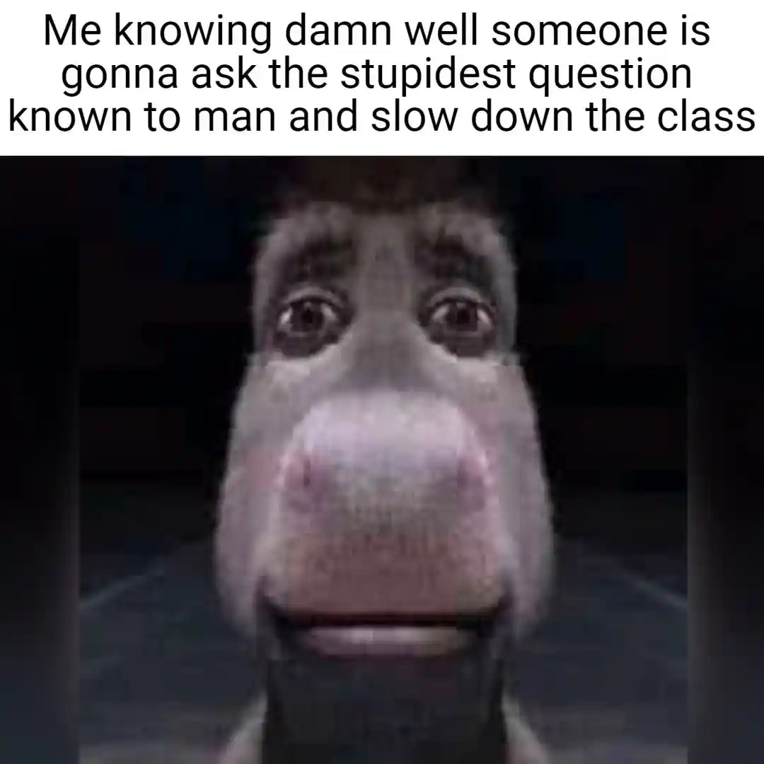 Donkey staring meme fearing dumb question in class
