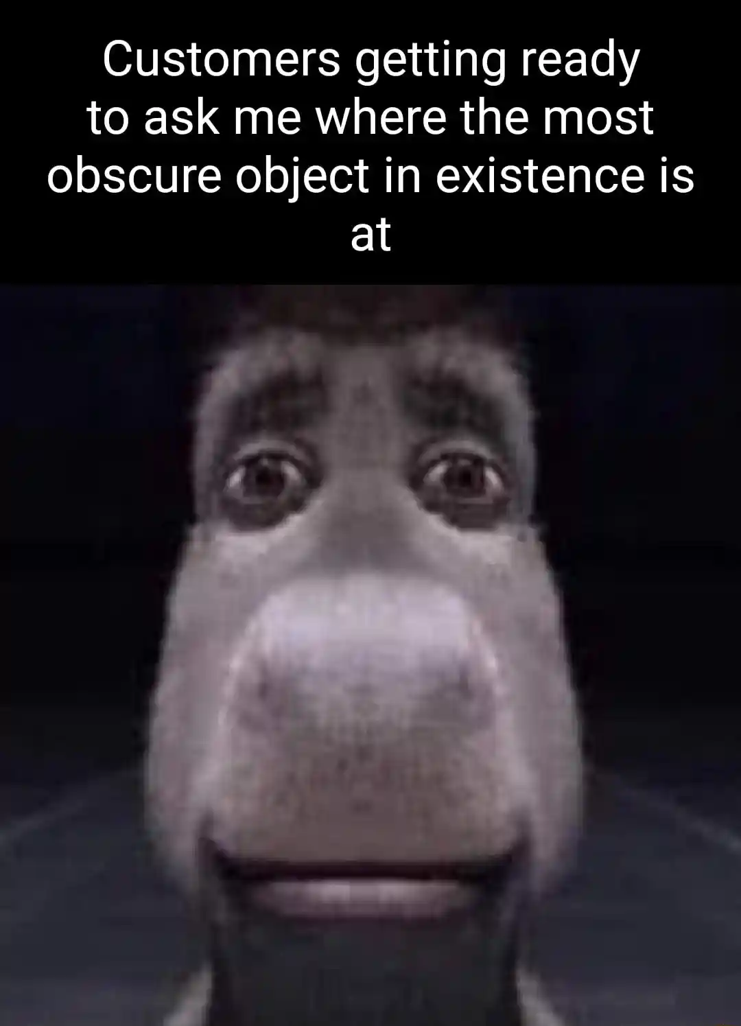 Donkey staring meme dread shopper ask for odd item