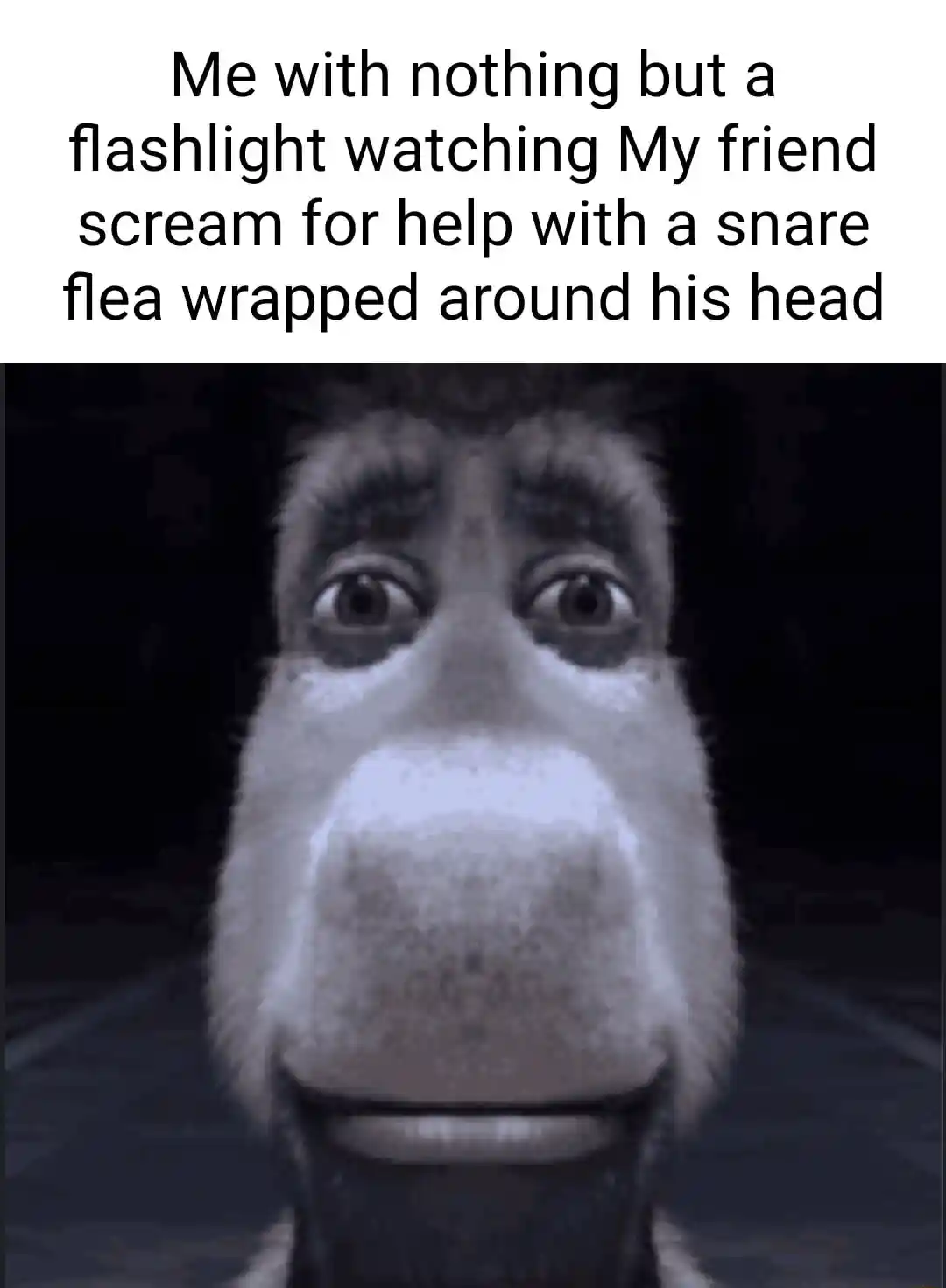 Donkey staring meme watching friend scream for help