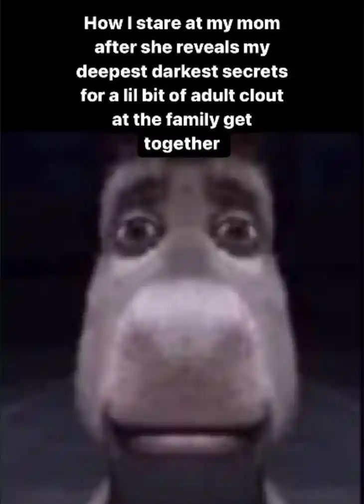 Donkey staring meme stare at mom after she reveals secrets