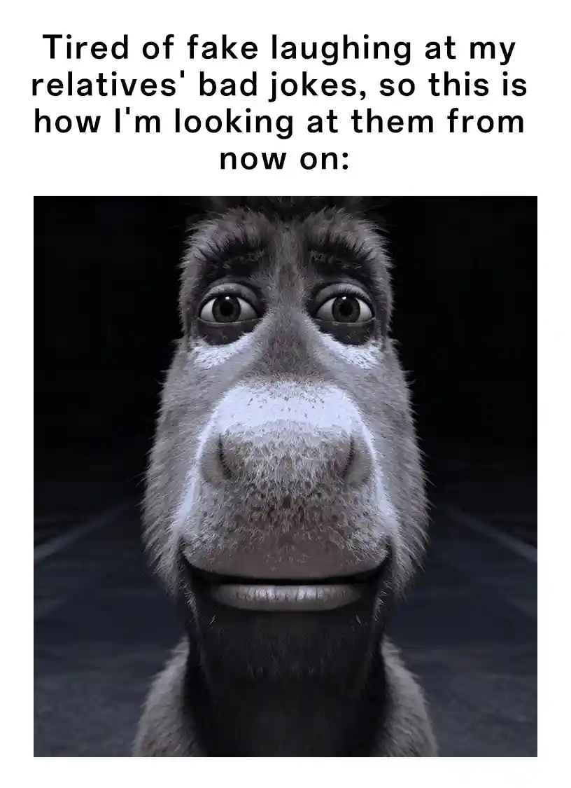 Donkey staring meme stare at relatives bad jokes stop fake laughing