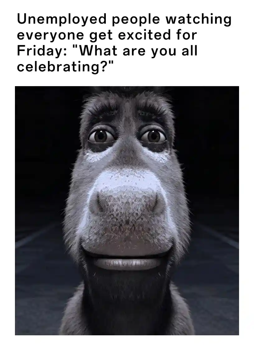 Donkey staring meme confused at friday excitement